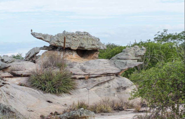 Excursión a Delmiro Gouveia - Foto 3
