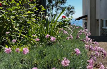 Apartments Mandic - Doma - Foto 9