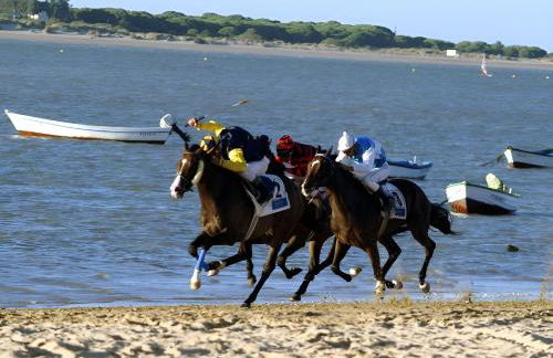 Apartamento Poniente Sanlúcar - Centro - Foto 37