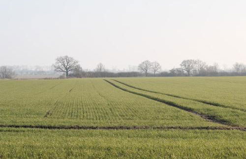 FEWO Ostseeland - Foto 4