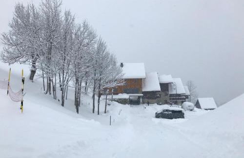 Chalet Lucie LE CHEVAL NOIR - Foto 42