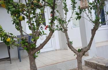 Melody cottage, Samos - Foto 70