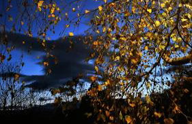 Osada Sudecka - Foto 21