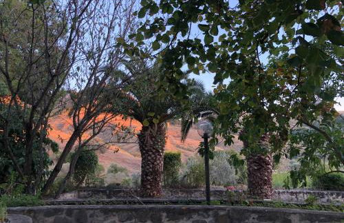 Il Castello degli Ulivi - Agriturismo in Natura - Foto 18