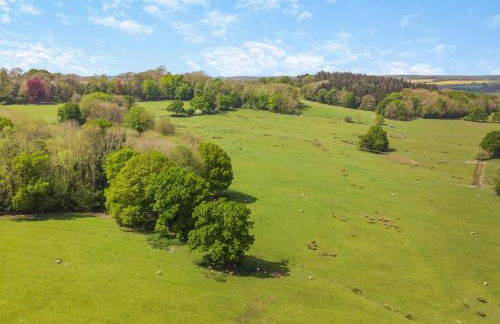 Cedar Lodge - Foto 30