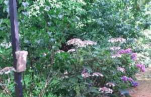 Ferienwohnung An der Königstraße - Foto 6