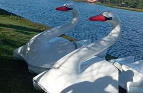 Paraíso das Águas - Foto 19