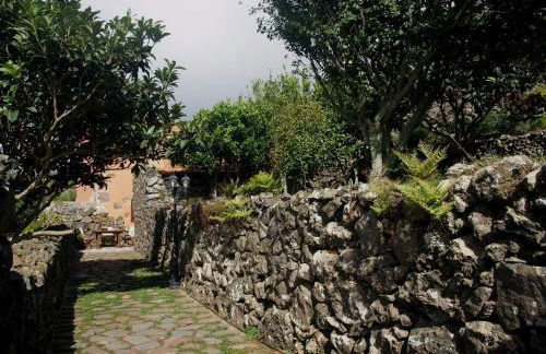 Gran Drago - Foto 23