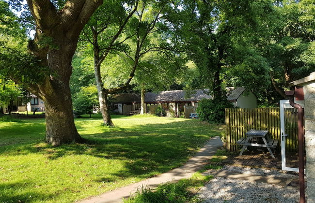 St Ives Holiday Village - Foto 19