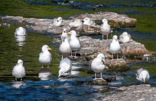 Tower Farm Holidays - Photo 45