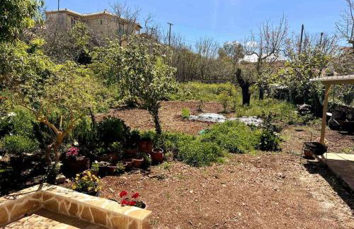 Traditional house with fresh vegetables garden - Foto 38