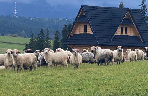 Domek Panorama z Jacuzzi - Foto 10