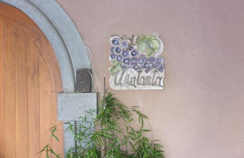 Uvatanta Cottage - Foto 15