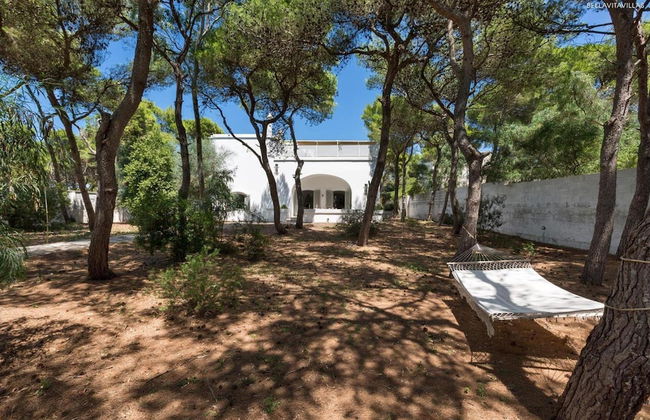 1675 Masseria Villa in Torre Specchia Ruggeri - Foto 1