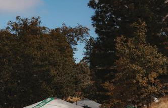 Mongolian yurt at a nature retreat - Foto 34