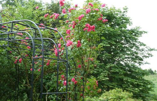 Ferienwohnung Am Walde - Photo 21