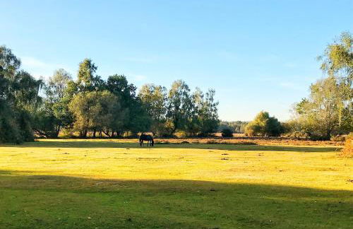 Cosy & Central Brockenhurst Flat, 2BR - Foto 28