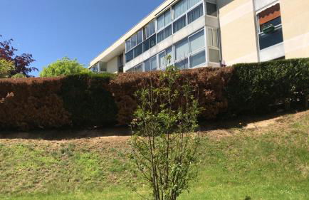 Le Petit Roi - StandingPlace - Foto 30