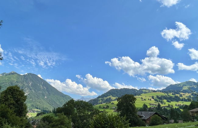 Akelei (gross) - Photo 13