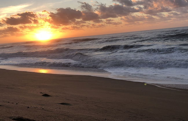 Go Wild Resort - Photo 23