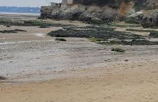 Appartement vue mer - Foto 30