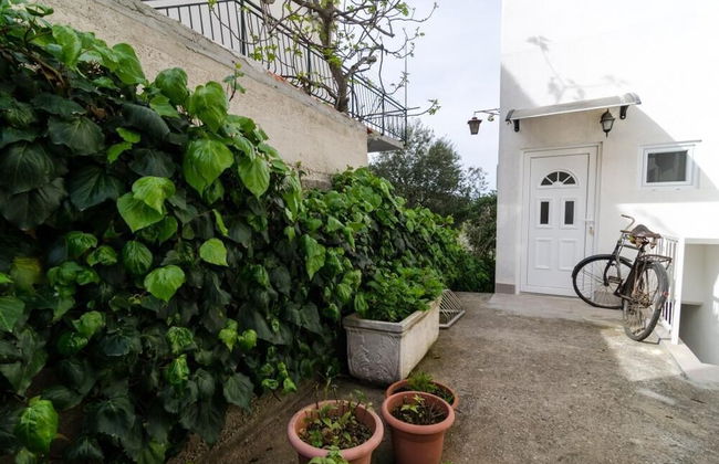 Apartments Villa Nikol - Foto 75