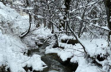Agréable appartement de 6 pers au pieds des pistes ,wifi gratuit à Saint-Sorlin-d'Arves labelise 3 étoiles au gîte de France - Photo 43