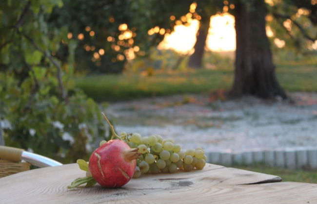 CasaBodamya - Foto 43