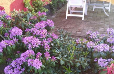 Ferienhaus Storchenweg - Foto 28