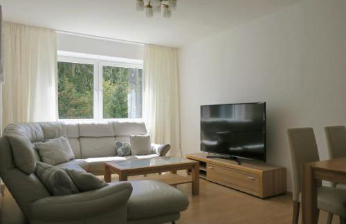 Haus Repin, Oberhof, historische Villa am Rennsteig, Thüringer Wald - Foto 27