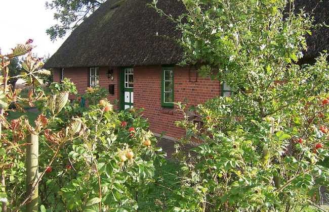 Thatched Roof House Kehl - Foto 1