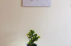 Tavira Garden- One Bedroom with Terrace - Foto 26