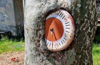 Vichi's nest - Foto 38