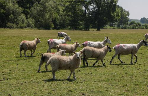 Lower Court Byre - Foto 53