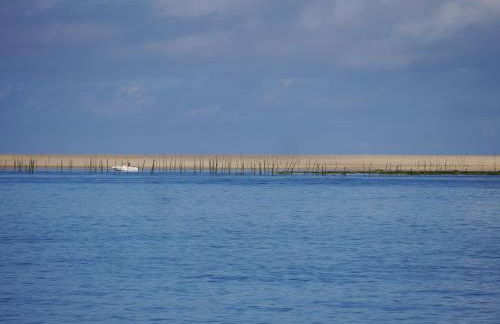 Au cœur du Bassin d'Arcachon - Foto 44