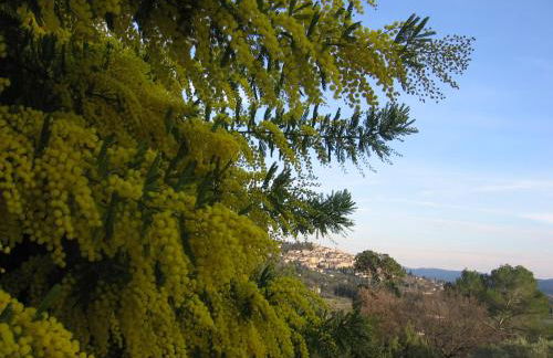 Les Genêts - Foto 36