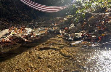 Creek side Mountain Perfect for Families ,We are just 5 to 7 minutes from the entrance of Pisgah Forest, where you ll find many rivers and waterfalls - Foto 71