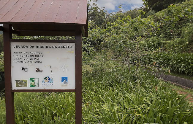 Plateau House - Foto 13