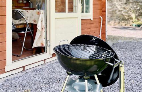 Cwt Tyddyn Shepherd's Hut - Foto 19