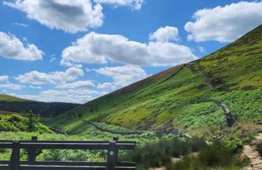 The Waltzing Weasel - Photo 26