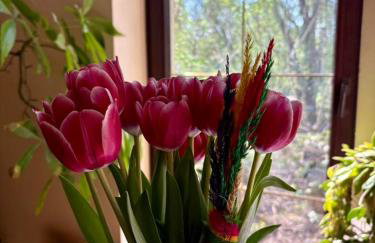 Agroturystyka Traperska Osada - Foto 62