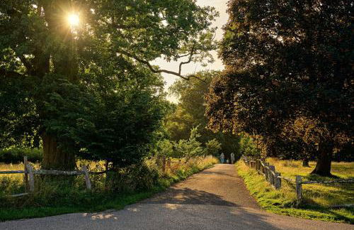 Buxted Park Hotel - Foto 15