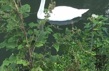 Relais Venise verte - Foto 34