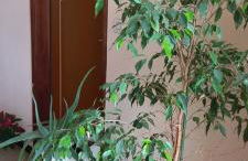 CasaMia tra Navigli e Università-FREE PARKING - Foto 61