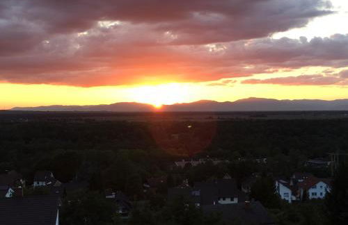 Ferienhaus Rheintalblick - Foto 5