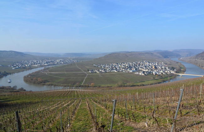 Modern Holiday Apartment With Large Garden Near the River Moselle - Photo 33