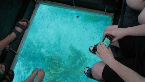 Observando el fondo marino desde el barco