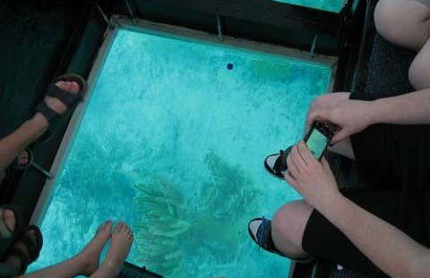 Paseo en barco con fondo de cristal - Foto 4
