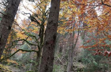 La taverna di Anna - Foto 18