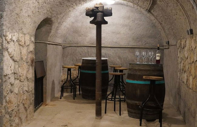 Visite de la Bodega Tovar - Photo 7